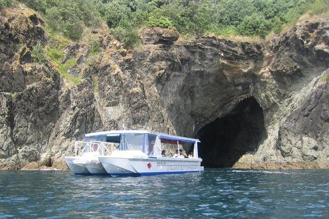 Glass Bottom Boat Tour - Why This Tour Is a Great Choice