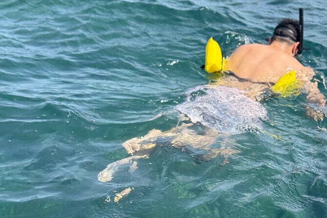 Glass bottom Boat Tour and Snorkeling Experience in Montego Bay - Good To Know