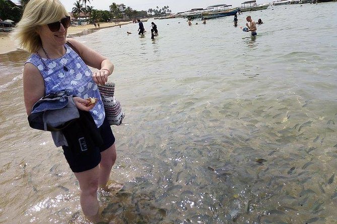 Glass Bottom Boat Tour and Snorkeling Hikkaduwa - Common Questions