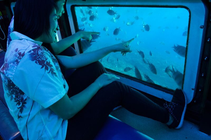 Glass Bottom Boat Tour in Okinawa - Choosing a departure time and planning your day