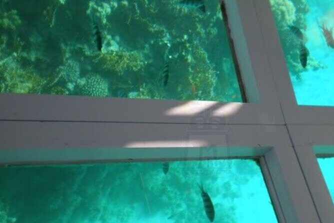 Glass Bottom Boat Water Activity in Montego Bay Jamaica - The Experience in Detail  