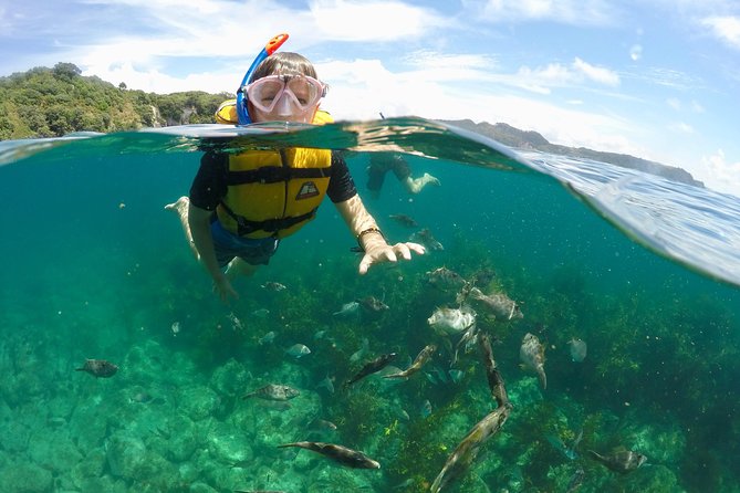 Glass Bottom Boat Whitianga Cathedral Cove Cruise - Meeting and Pickup Information