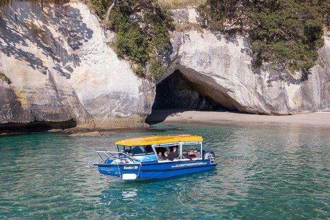 Glass Bottom Boat Whitianga Cathedral Cove Cruise - Public Transportation and Infant Guidelines
