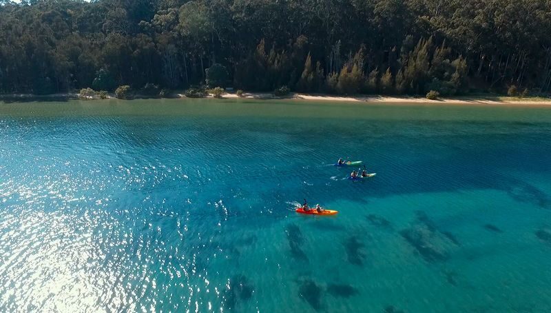 Glass Bottom Kayak Tour in Cullendulla Sanctuary - What to know before you paddle