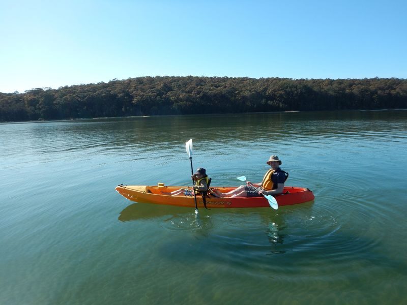 Glass Bottom Kayak Tour in Cullendulla Sanctuary - Wildlife watching takes patience