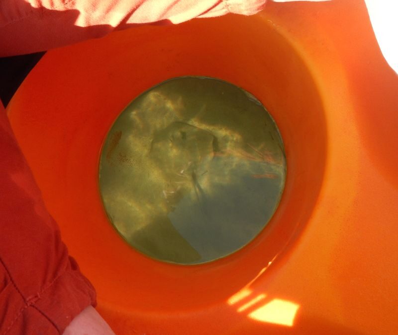 Glass Bottom Kayak Tour in Cullendulla Sanctuary - A relaxed option for families and beginners