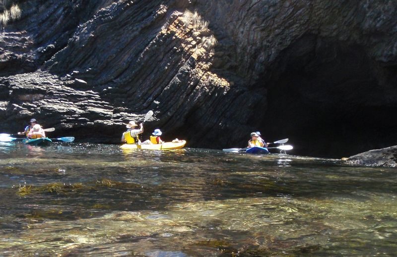 Glass Bottom Kayak Tour in Cullendulla Sanctuary - What the price includes, and what it does not