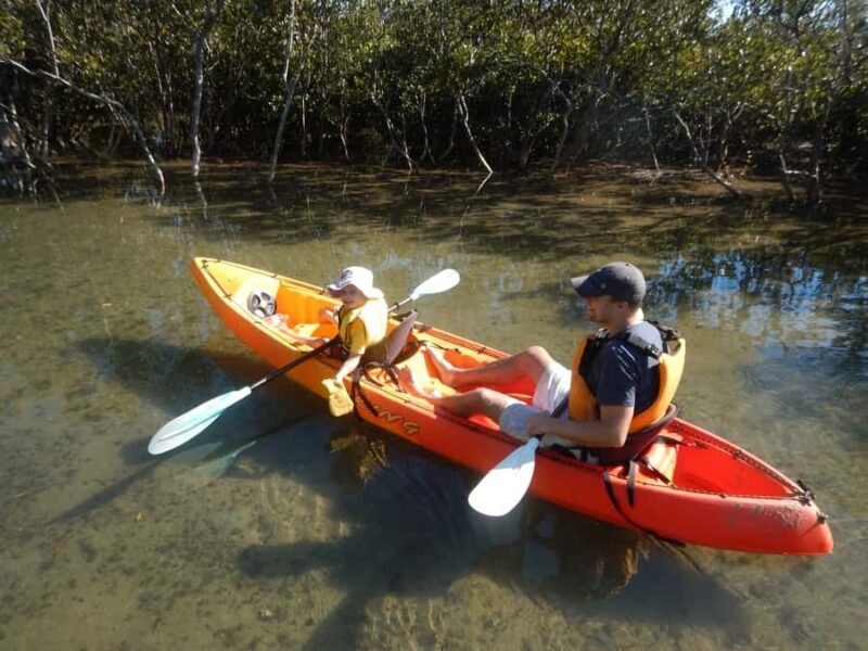 Glass Bottom Kayak Tour - The Practical Side: What You Need to Know