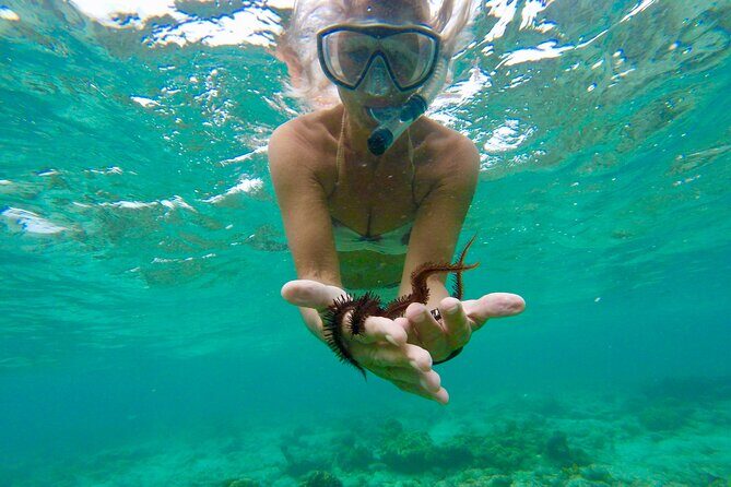 Glass Bottom Nylon Pool Tour in Buccoo Reef - An Overview of the Experience