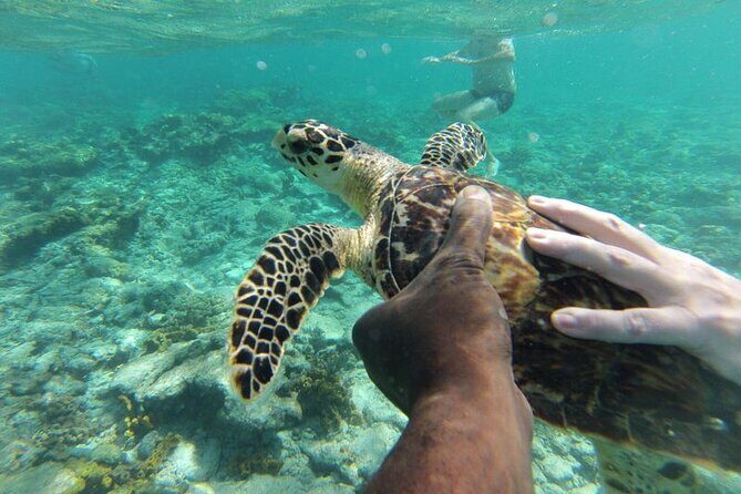 Glass Bottom Nylon Pool Tour in Buccoo Reef - Practical Tips for Booking and Enjoying