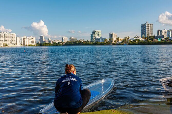 Glass Bottom SUP Rentals at Condado Lagoon - What to Expect from Your SUP Experience