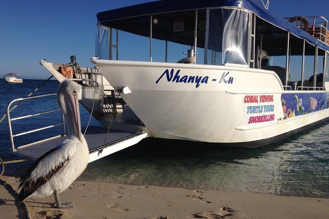 Glass-Bottomed Boat Reef Tour With Snorkeling, Coral Bay - Cancellation Policy