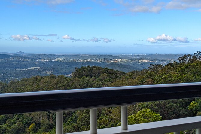 Glass House Mountains, Maleny and Montville Tour From Brisbane - Tour Highlights