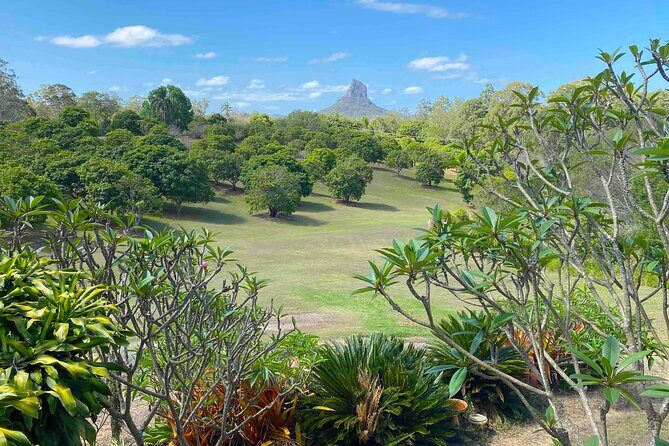 Glass House Mountains Tour with Lunch, Lookouts, and Nature Walks - The Value of This Tour