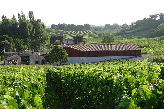 Glassy-Tigineux Workshop and Tasting in Saint-Émilion - Additional Information