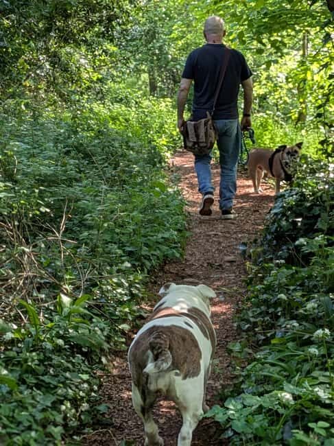Glastonbury: Guided Tour of Avalon with Celtic Shaman - Glastonbury: Guided Tour of Avalon with Celtic Shaman — A Deep Dive into Mysticism and Myth