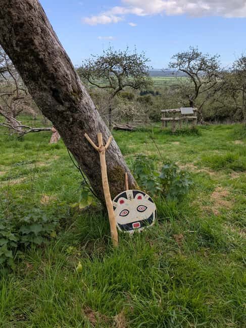 Glastonbury: Guided Tour of Avalon with Celtic Shaman - Authenticity and Review Highlights