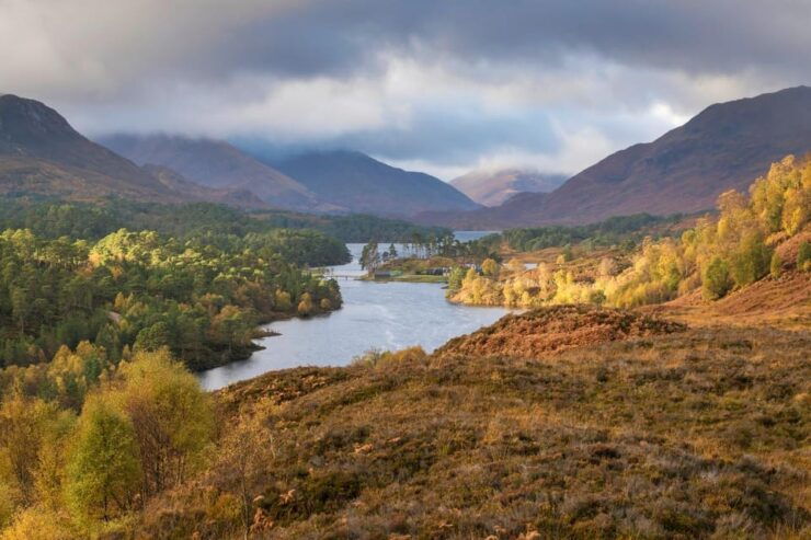 Glen Affric Guided Winter Walk - Experience and Itinerary