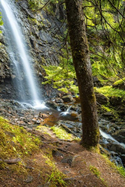 Glen Affric Guided Winter Walk - Flexible Booking Options