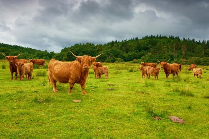 Glencoe and the Highlands Private Day Tour With Scottish Local - Historical and Cultural Insights