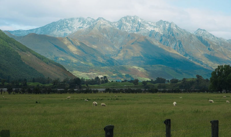 Glenorchy & Paradise Half-Day Film Theme Tour - What the $84.69 starting price buys you