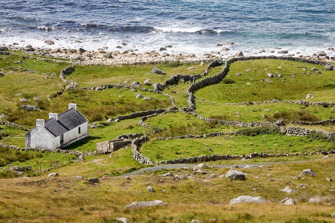 Glenveagh National Park and Gaeltacht Tour - Tour Highlights