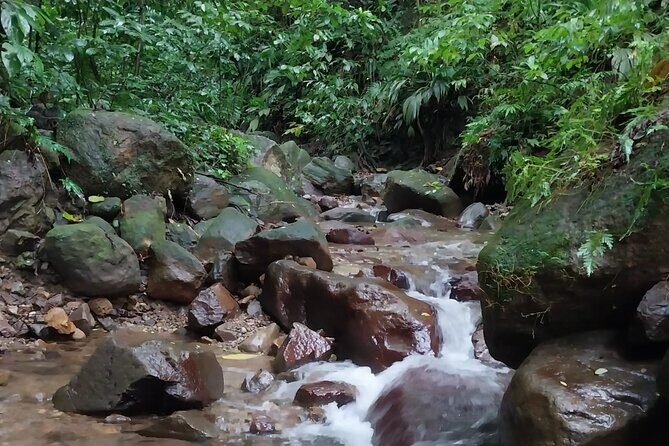 Glide into adventure: Hiking and natural slides - Good To Know