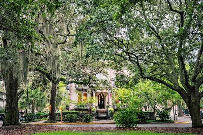 Glide Through Savannah E-Bike Tour - Good To Know