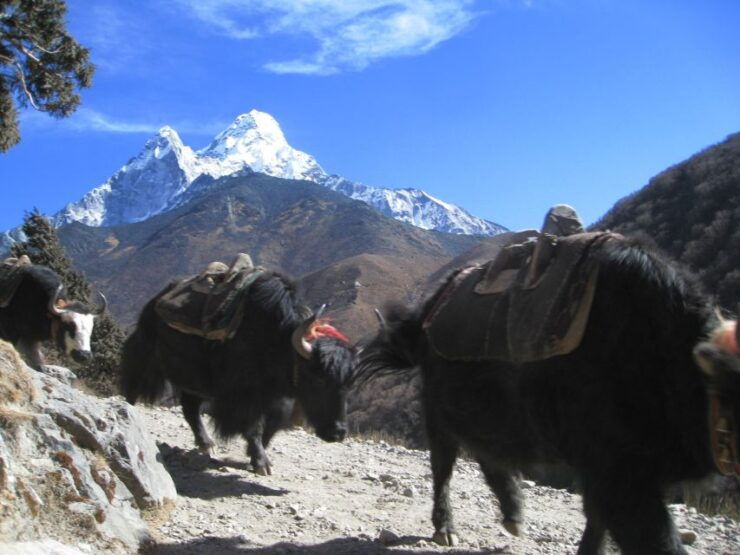 Glimpse of the Mount Everest- 7 Days Trek From Kathmandu - Trek Duration and Logistics