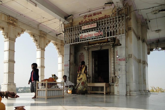 Glimpses of Wildlife & Footstep of Gandhi Gujarat Tour (10 Days) - Cultural Immersion Activities