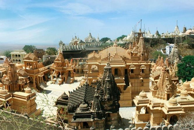 Glimpses of Wildlife & Footstep of Gandhi Gujarat Tour (10 Days) - Frequently Asked Questions