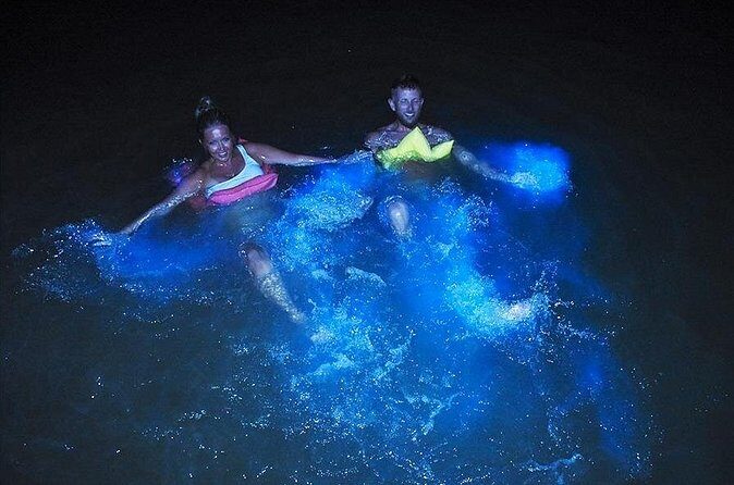 Glistening Waters Luminous Lagoon Boat Tour Falmouth - Final Thoughts