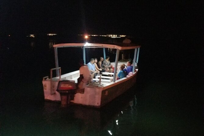 Glistening Waters Luminous Lagoon Night-Time Tour With Pick-Up From Montego Bay - Overview and Highlights