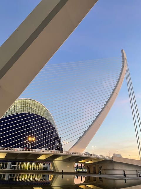 Glittering Glow: A Guided E-Bike Night Tour of Valencia - Ruzafa Neighborhood