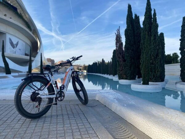 Glittering Glow: A Guided E-Bike Night Tour of Valencia - Frequently Asked Questions