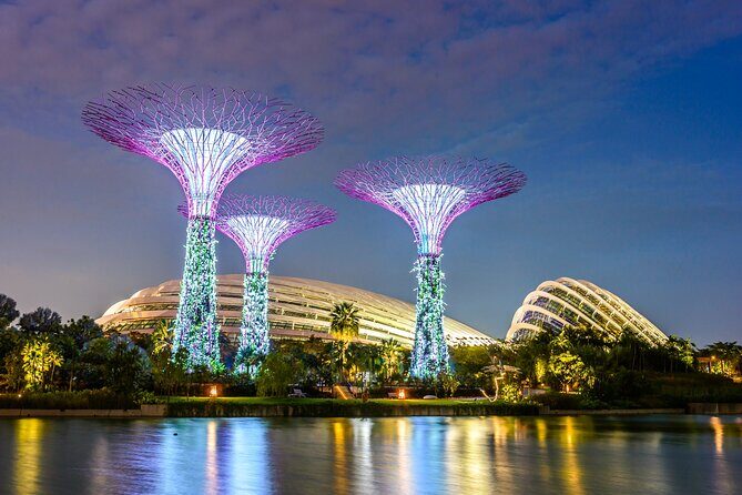 Glittering Singapore Night Tour: City Lights, Skyline & River - A Nighttime Tour with a Local Flavour