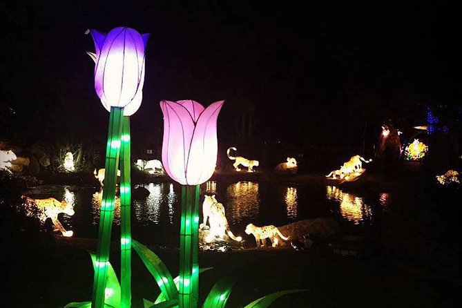 Glow Garden Ticket & Two Way Private Transfers - Glow Garden Theme Park Highlights
