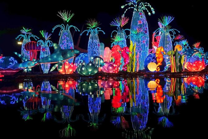 Glow Garden Tickets With Transfers - Review Details and Viator Travelers Feedback