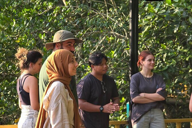 Glow-in-the-Dark Mangrove Adventure  Night Safari Plus Dinner - Final Thoughts