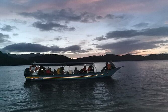 Glow-in-the-Dark Mangrove Adventure  Night Safari Plus Dinner - Authentic Insights from Reviewers