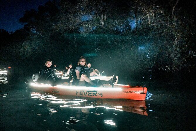 Glow Kayak Night Adventure in the Mangroves - Authentic Experiences from Reviewers