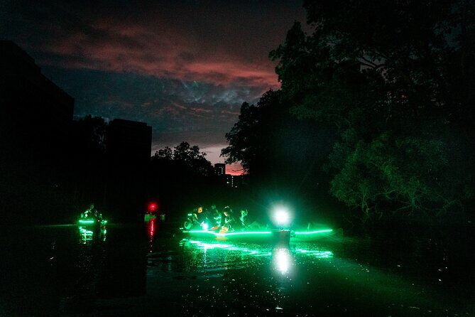 Glow Kayak Night Adventure in the Mangroves - An In-Depth Look at the Glow Kayak Adventure