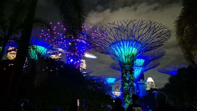 Glow with the Flow: Singapore's Illuminated River Experience - What to Expect from the Tour  