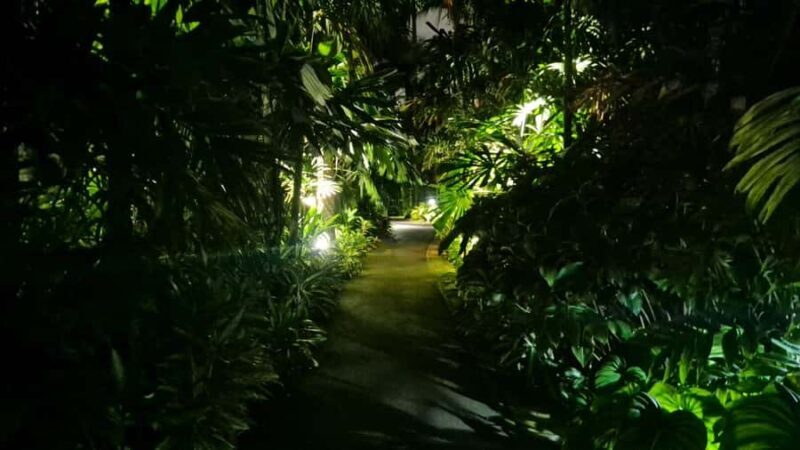 Glow with the Flow: Singapore's Illuminated River Experience - Practical Details and Value  