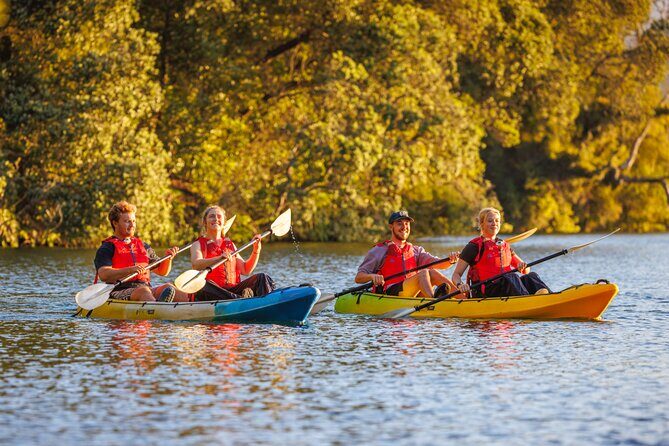 Glow Worm Adventure Kayak - What the Tour Entails: A Detailed Breakdown