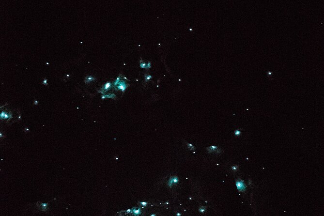 Glow Worm Caves and Waterfall in Bay of Islands Express Tour - Inclusions and Duration