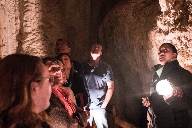Glow Worm Caves and Waterfall in Bay of Islands Express Tour - Meeting and Pickup Details