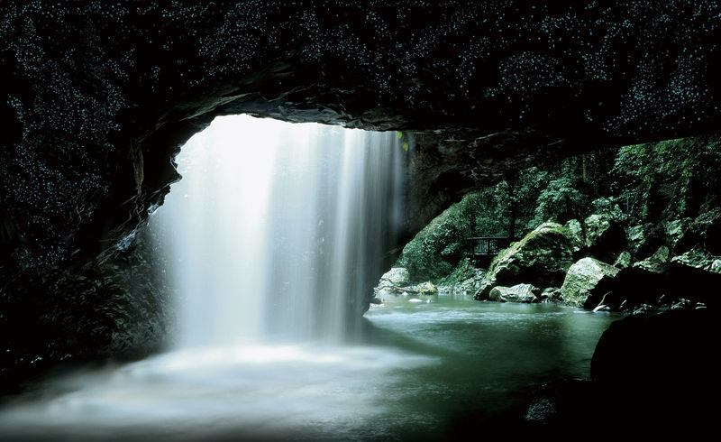 Glow Worm Tour Gold Coast with Japanese-Speaking Guide - Key points to know