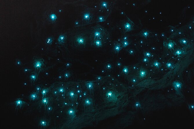 Glow Worm Tunnel Ride - Recommended Gear and Equipment