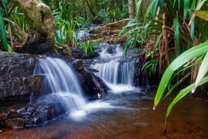 Glow Worms Private Tour - Nocturnal Rainforest Walk - Cancellation and Refund Policy